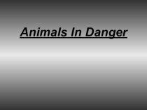 Презентация к уроку английского языка в 5 классе Animals In Danger