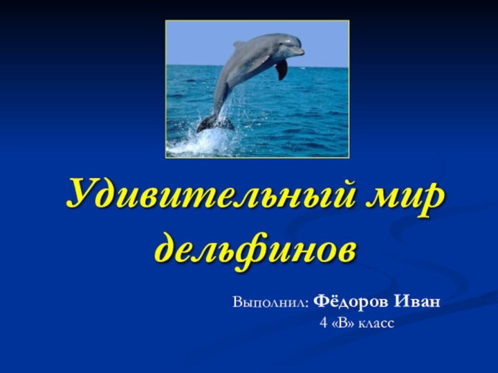 Удивительный мир дельфиновВыполнил: Фёдоров Иван