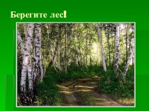 Берегите лес! презентация к уроку (1 класс)