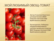 Учебно-опытническая работа Изучение влияния различных условий выращивания томатов на их урожайность материал по теме