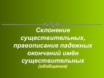 Урок русского языка в 4 классе Склонение существительных план-конспект урока по русскому языку (4 класс)