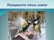 Покормите птиц зимой презентация к уроку по окружающему миру (старшая группа)