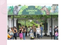 внеклассное мероприятие по английскому языку в 4 классе London Zoo план-конспект урока по иностранному языку (4 класс)