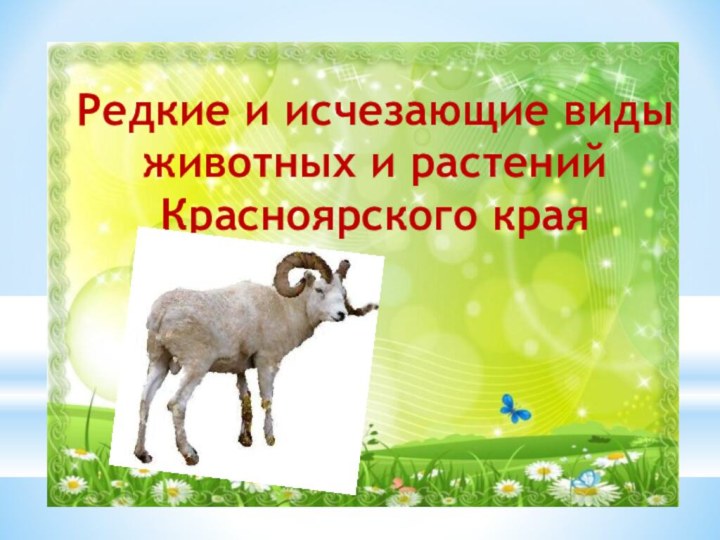 Редкие и исчезающие виды животных и растений Красноярского края