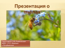 Презентация О пчёлах презентация к уроку по окружающему миру (средняя группа) по теме