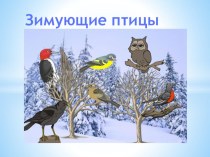 презентация зимующие птицы презентация к уроку по окружающему миру (младшая группа)