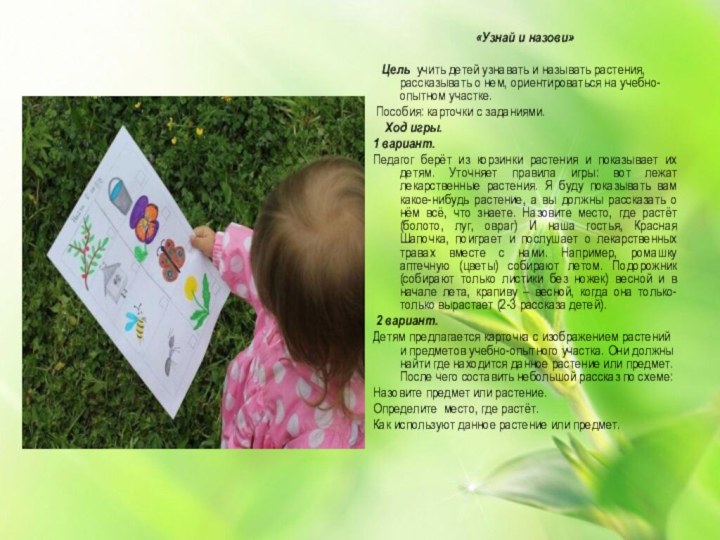 «Узнай и назови»   Цель учить детей узнавать и называть растения, рассказывать о нем,