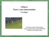 Текст для списывания Паук (1 класс) презентация к уроку по русскому языку (1 класс) по теме