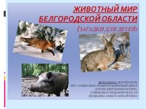 Животный мир Белгородской области презентация к занятию по окружающему миру (средняя группа)