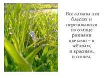 Призентация № 2 Л.Н.Толстой Какаябывает роса на траве презентация к уроку по чтению (3 класс)