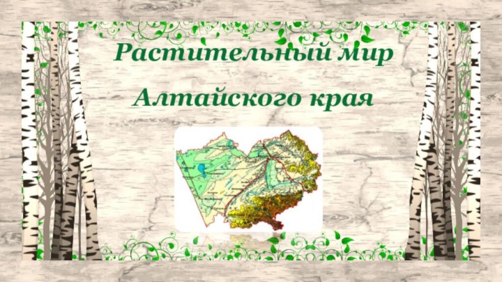 Растительный мир Алтайского края