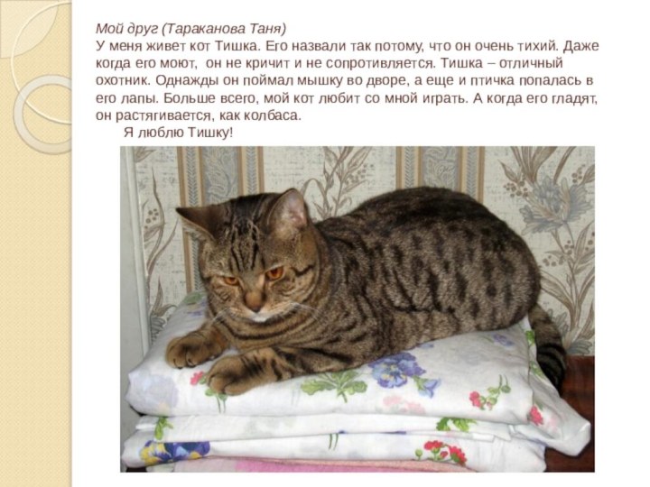 Мой друг (Тараканова Таня) У меня живет кот Тишка. Его