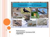 Перелетные птицы презентация к уроку по окружающему миру ( группа)