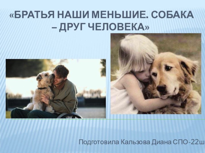 «Братья наши меньшие. Собака – друг человека»Подготовила Кальзова Диана СПО-22шк.