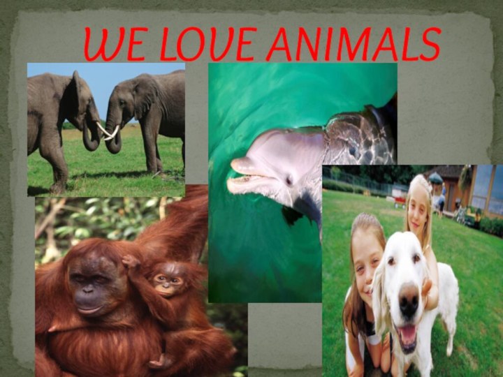WE LOVE ANIMALS
