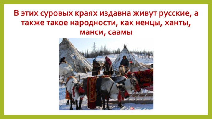 В этих суровых краях издавна живут русские, а также такое народности, как ненцы, ханты, манси, саамы
