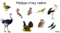 Игра Найди птиц тайги электронный образовательный ресурс по окружающему миру (подготовительная группа)
