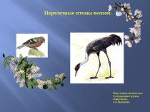 Перелетные птицы весной. презентация к уроку по окружающему миру (младшая группа)