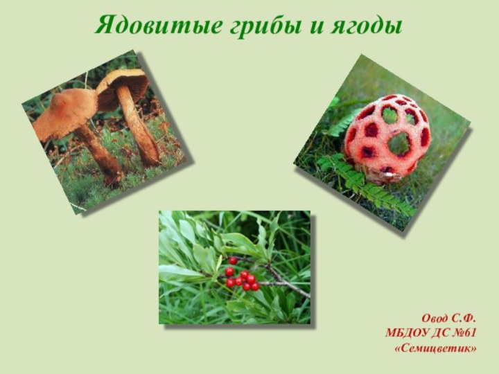 Ядовитые грибы и ягоды  Овод С.Ф.МБДОУ ДС №61 «Семицветик»