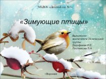 Зимующие птицы презентация к уроку по окружающему миру (младшая группа)