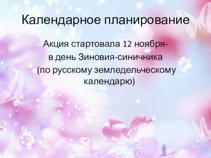 Календарное планированиеАкция стартовала 12 ноября- в день Зиновия-синичника  (по русскому земледельческому календарю)
