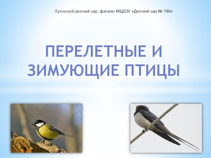 Перелетные и зимующие птицыЛуговской детский сад, филиал МБДОУ «Детский сад № 189»