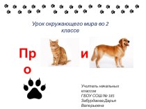 Презентация к уроку окружающего мира во 2 классе Про кошек и собак презентация к уроку по окружающему миру (2 класс)