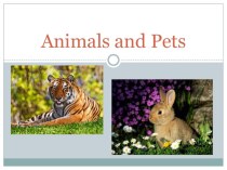 Внеклассное мероприятие в начальной школе Animals and Pets план-конспект занятия по иностранному языку (4 класс)