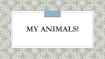 Презентация к уроку My animals! УМК Spotlight-2 презентация урока для интерактивной доски по иностранному языку (2 класс)