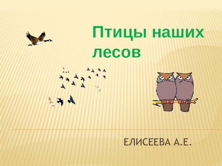 Елисеева А.Е.Птицы наших лесов