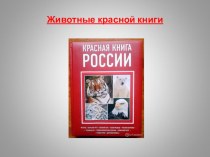 Животные Красной книги. презентация к уроку по окружающему миру (старшая группа)