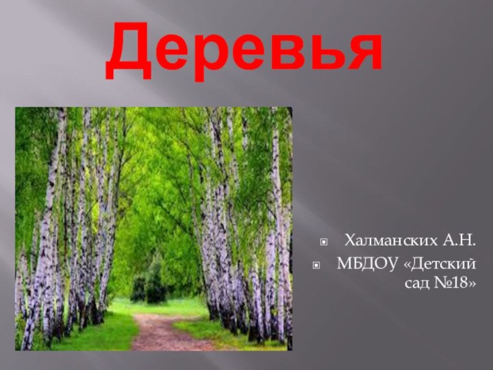 Деревья Халманских А.Н.МБДОУ «Детский сад №18»
