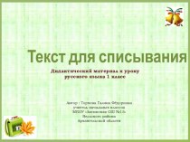Текст для списывания тренажёр по русскому языку (1 класс)