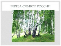 Презентация Береза-символ России презентация к уроку по окружающему миру (подготовительная группа) по теме