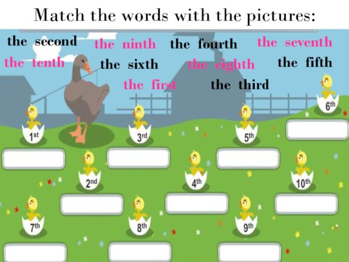 Match the words with the pictures: the second the ninth the third