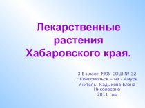 Презентация к внеклассному мероприятию Лекарственные растения Хабаровского края 3 класс методическая разработка (3 класс) по теме
