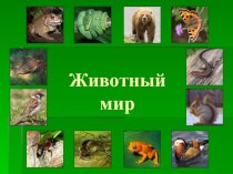 Презентация Загадки для детей Шесть групп животного мира презентация к уроку (1 класс) по теме