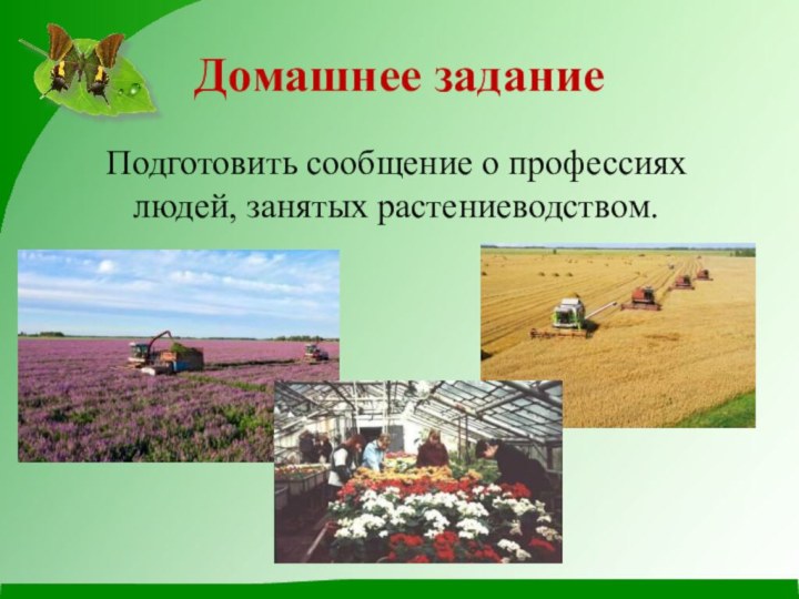 Домашнее заданиеПодготовить сообщение о профессиях людей, занятых растениеводством.