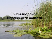 Рыбы водоёмов Воронежской области презентация к уроку по окружающему миру (3 класс)