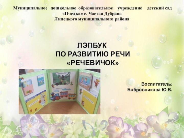 Муниципальное  дошкольное образовательное  учреждение  детский сад «Пчелка» с.