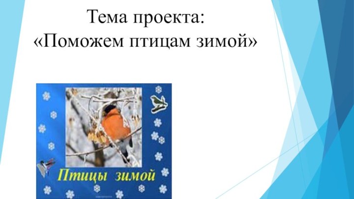 Тема проекта:  «Поможем птицам зимой»