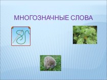 Многозначные слова. презентация к уроку по русскому языку