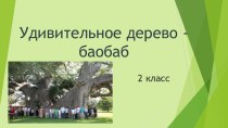 Удивительное дерево - баобаб 2 класс презентация к уроку по окружающему миру (2 класс) по теме