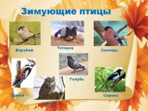 Презентация :Зимующие птицы презентация по окружающему миру