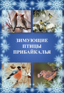 Методическая разработка Зимующие птицы Прибайкалья методическая разработка (подготовительная группа)
