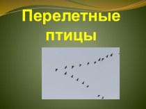 Перелетные птици презентация по окружающему миру