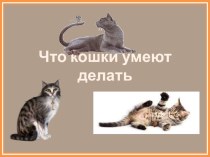 Конспект НОД в средней группе День кошек методическая разработка по окружающему миру (средняя группа) по теме