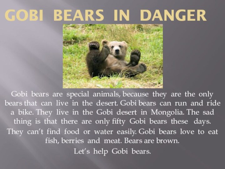 GOBI BEARS IN DANGERGobi bears are special animals, because they are the