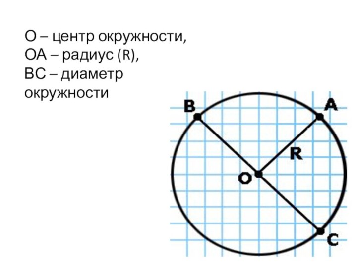 О – центр окружности,ОА – радиус (R),ВС – диаметр окружности
