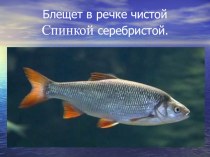 Методическая разработка занятия по теме: Рыбы методическая разработка